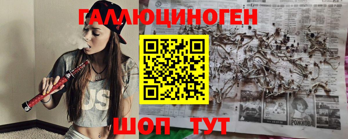 Алейск  Галлюциногенные грибы Magic Shrooms  Вход с VPN  Галлюциногенные грибы Cubensis 