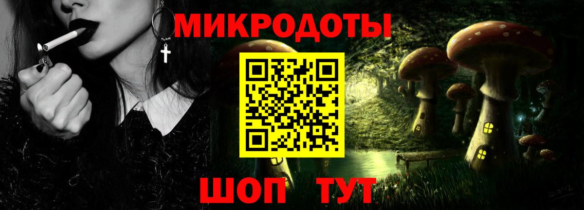 Псилоцибиновые грибы Cubensis Алейск